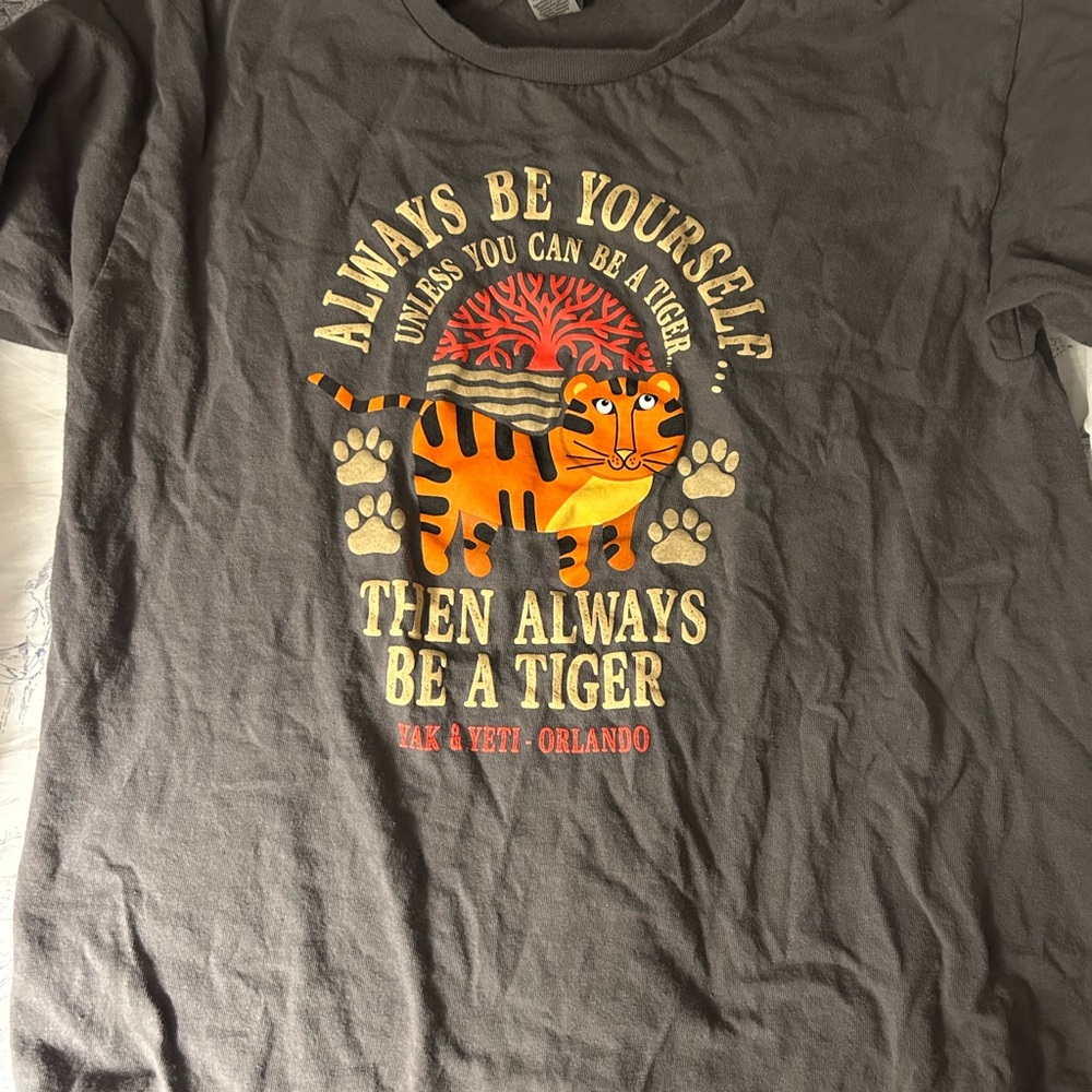 Disney Walt Disney World, Animal Kingdom, yak and yeti youth top XL EUC